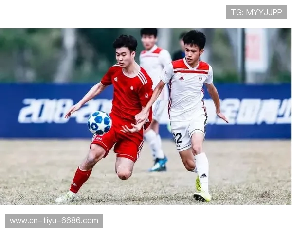 体育联赛什么时候恢复（体育联赛什么时候恢复参赛）sports